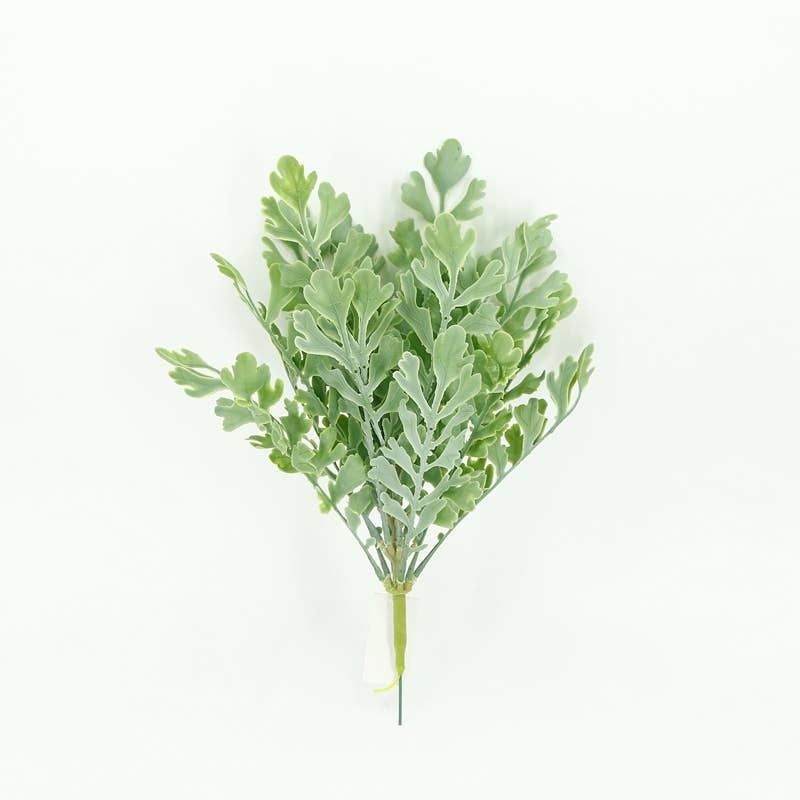 Lambsear Fern 15in