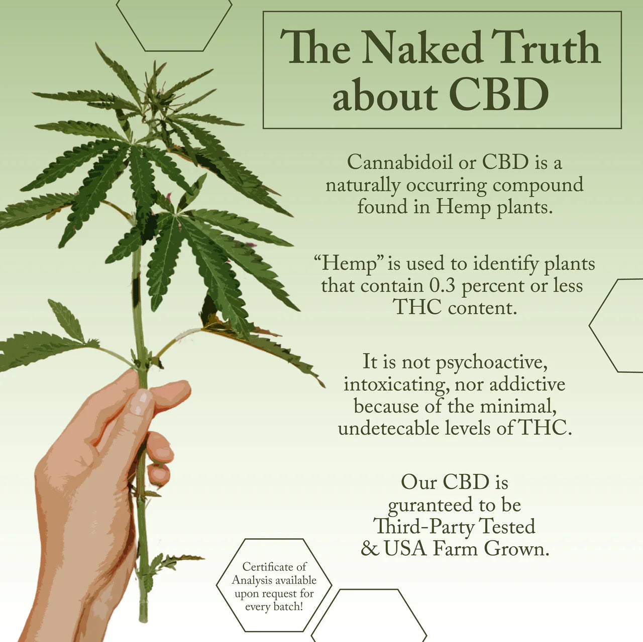 2.3 oz. Broad Spectrum CBD 2300 mg MAXStrength Infused Topical Cream