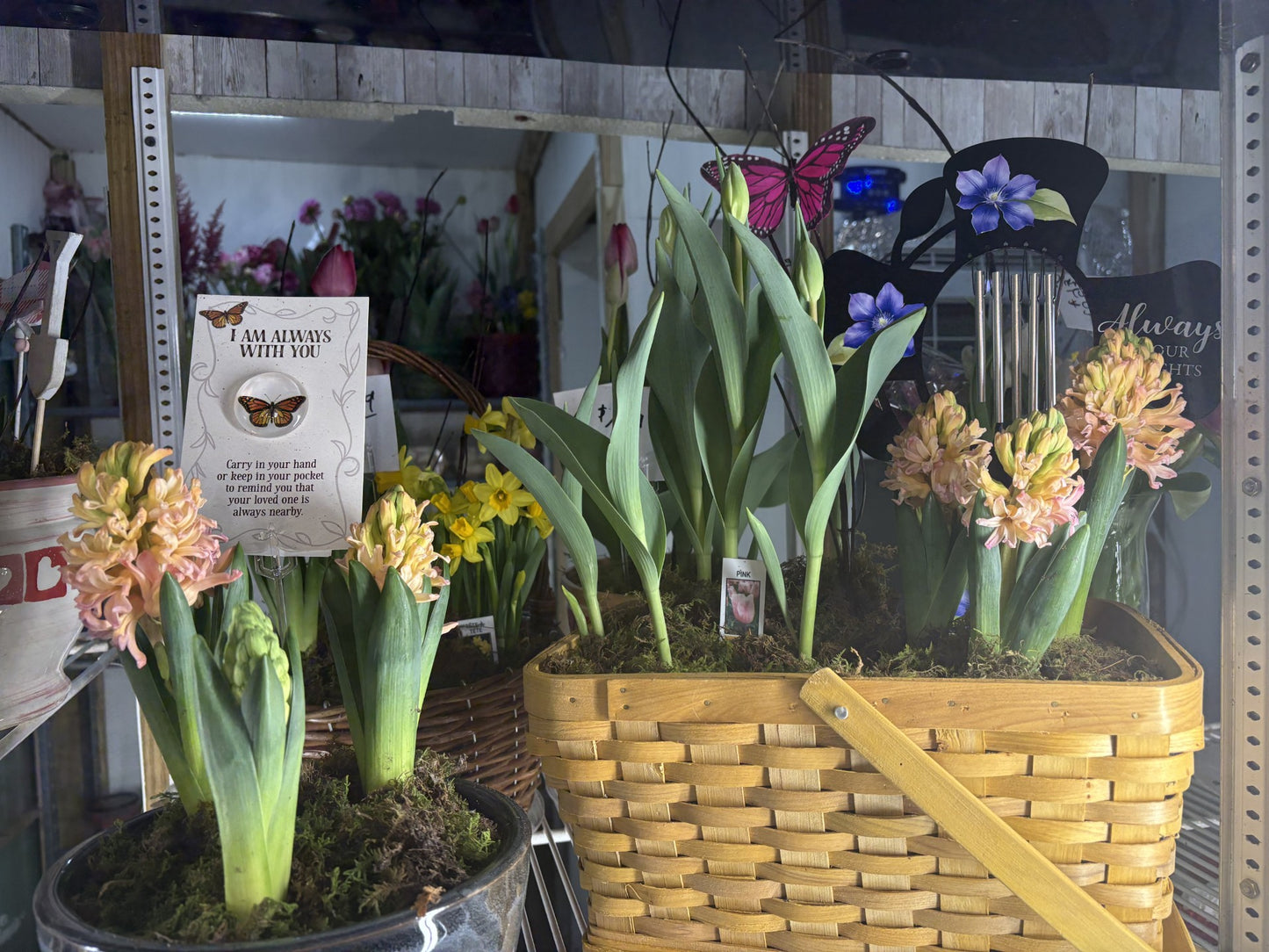 Bulb Garden Class with Angie
